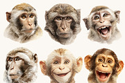 Funny Monkey Faces Clipart Set, an Animal Illustration by Design Scotch (Thumbnail 6 of 8)