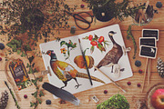Watercolor Rosehip & Pumpkins Set, an Illustration by Fluffy Unicorn (Thumbnail 8 of 9)
