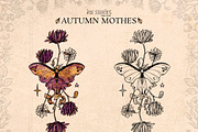 Autumn Moths & Dried Botanicals, an Animal Illustration by Ink Stories (Thumbnail 8 of 18)