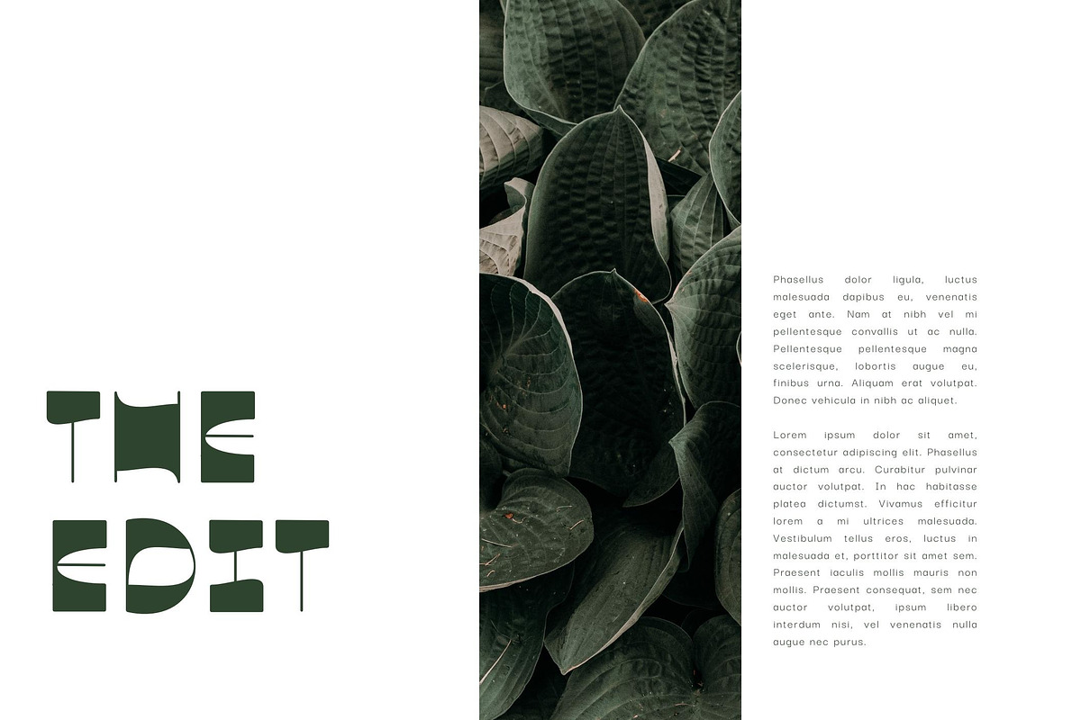 Sparrow - modern sans serif, a Sans Serif Font by Sk designs (Photo 4 of 9)