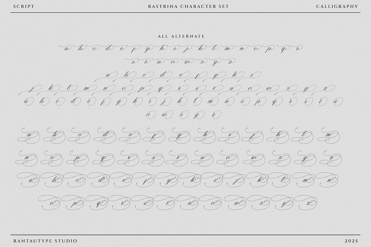 Rastrina Calligraphy Script Font, a Script Font by RantautypeStudio (Photo 15 of 16)