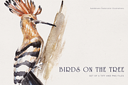 Handdrawn watercolor birds, an Illustration by Tilling (Thumbnail 1 of 5)