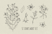 St.John's wort set, seamless pattern, a Decorative Illustration by Good Studio (Thumbnail 2 of 6)