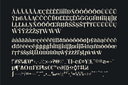 Qyore – Elegant Modern Serif, a Serif Font by Nollev (Thumbnail 5 of 9)
