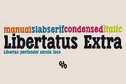 Libertatus fonts, a Slab Serif Font by deFharo (Thumbnail 5 of 5)