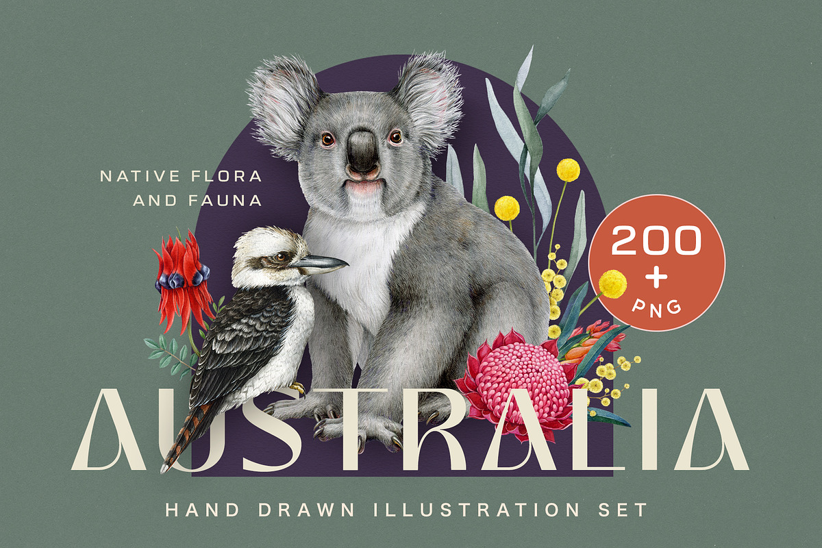 Australia Flora Fauna Clipart, an Animal Illustration by AnitaPol (Photo 1 of 27)