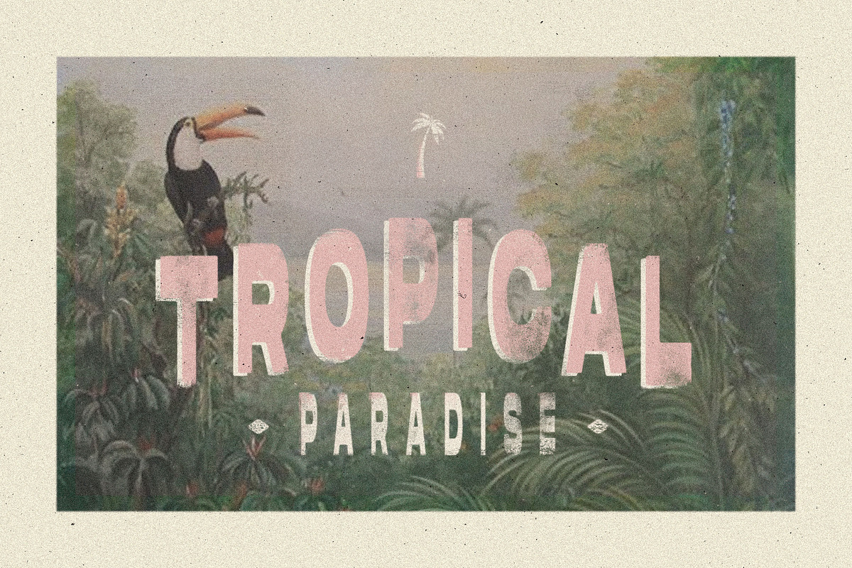 LUNAR PALMS Font, a Font by Cameron Humphries (Photo 6 of 7)