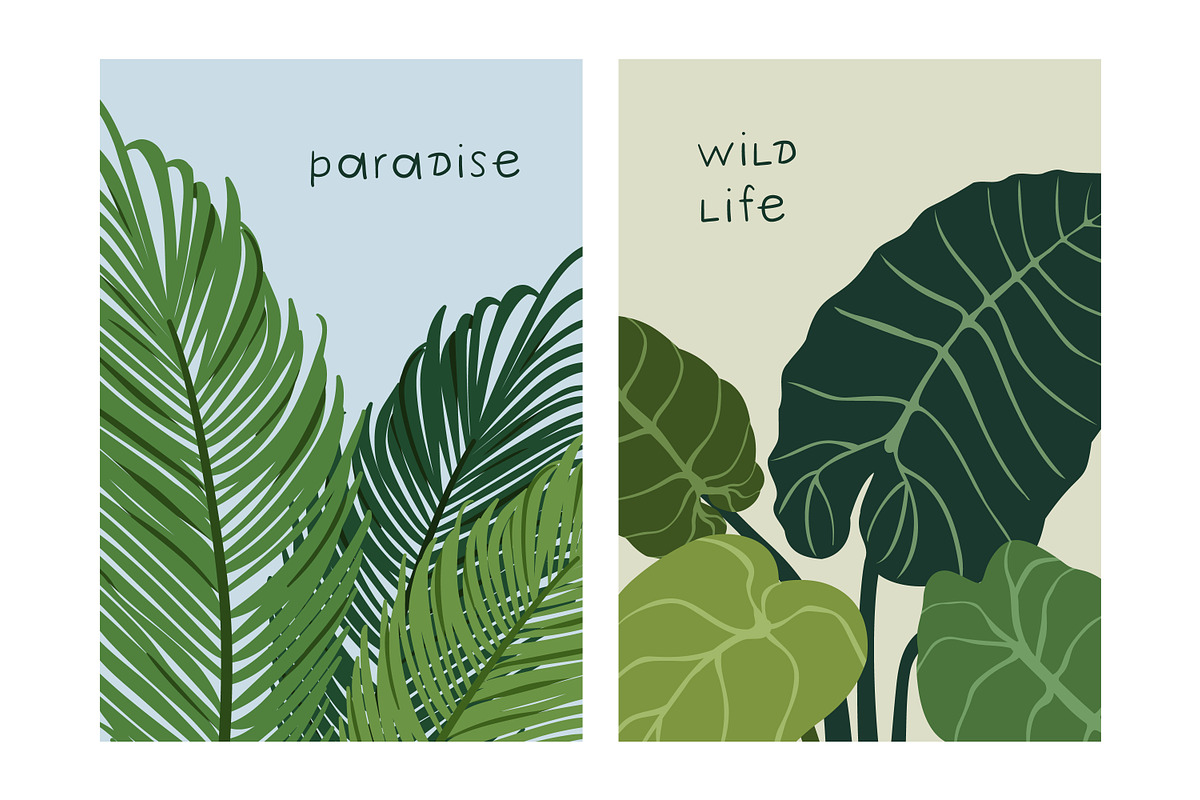 Tropical leaf plants, posters set, a Decorative Illustration by Good Studio (Photo 4 of 15)