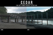 DJI OSMO | CEDAR LUT PACK, a Layer Style Add-On by Josh Zaring Studios (Thumbnail 4 of 6)