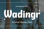 Wadingr | Summer San Serif Display, a Sans Serif Font by twinstd (Thumbnail 1 of 10)