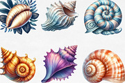 Ocean Sea Shell Sublimation PNG, an Illustration by Designking (Thumbnail 3 of 4)