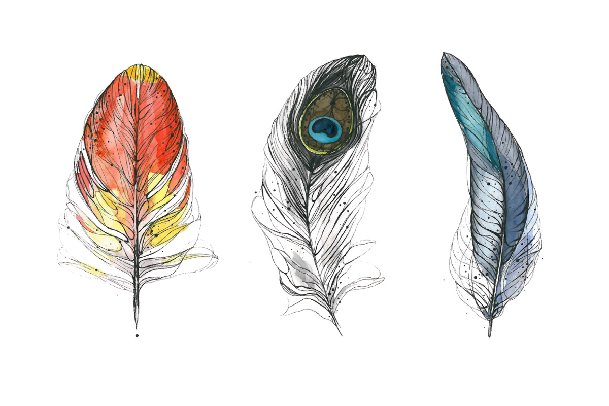 Watercolor hand drawn feathers, an Illustration by narinadraban (Photo 3 of 3)