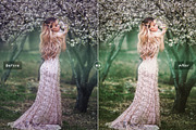 Fine Art Lightroom Presets, an Action Add-On by Creativetacos (Thumbnail 4 of 6)