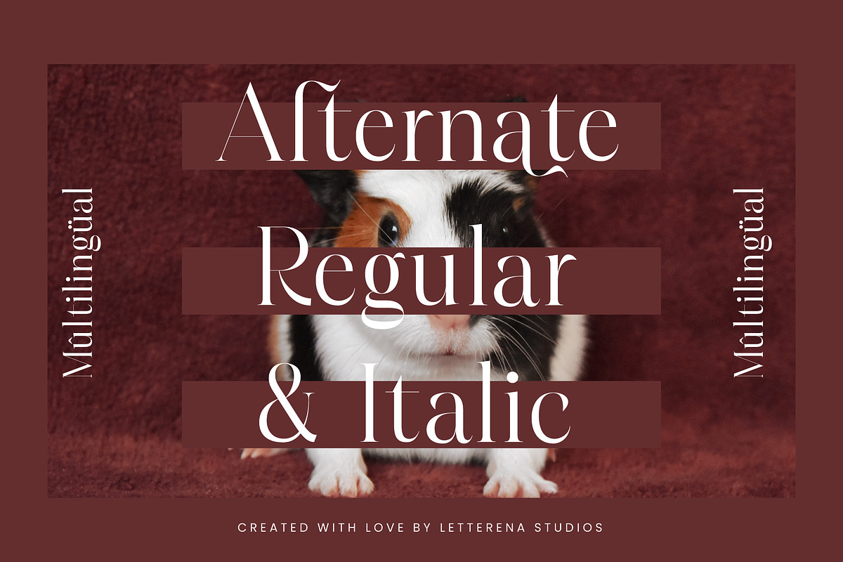 Hamster Modern Serif Font, a Serif Font by Letterena Studios (Photo 12 of 15)