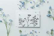 Forget-me-not SVG clipart, an Object Graphic by Dervik Art Store (Thumbnail 2 of 8)