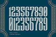 Wallaxe Extra Condensed, a Slab Serif Font by Nocturnal Workspace (Thumbnail 4 of 9)