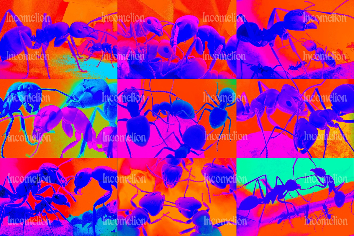 30 Psychedelic Ant Backgrounds, an Animal Illustration by Incomelion (Photo 2 of 11)