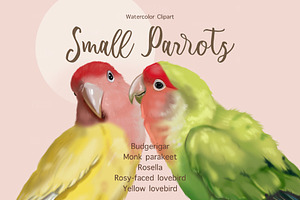 Watercolor Small Parrots