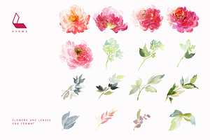 Watercolour Peonies Set