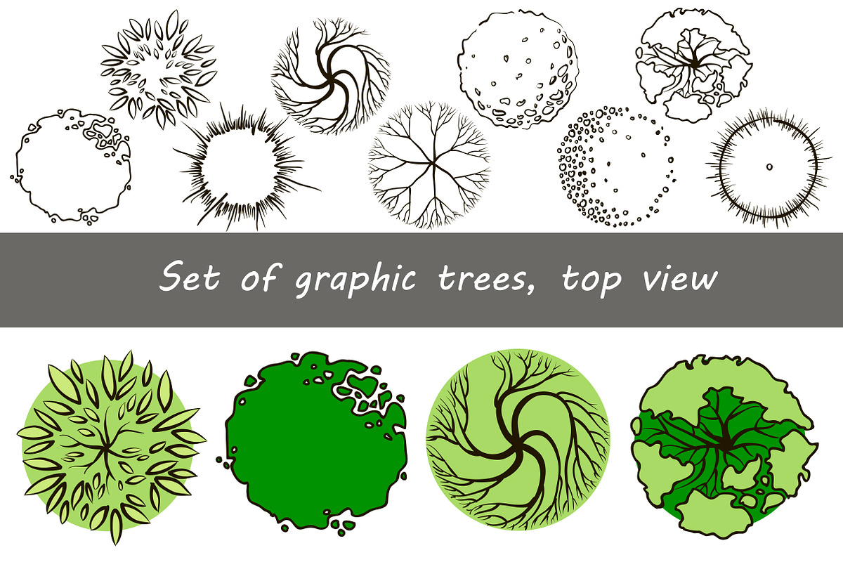 Set of graphic trees, top view, an Illustration by Lina_Lisichka (Photo 1 of 5)