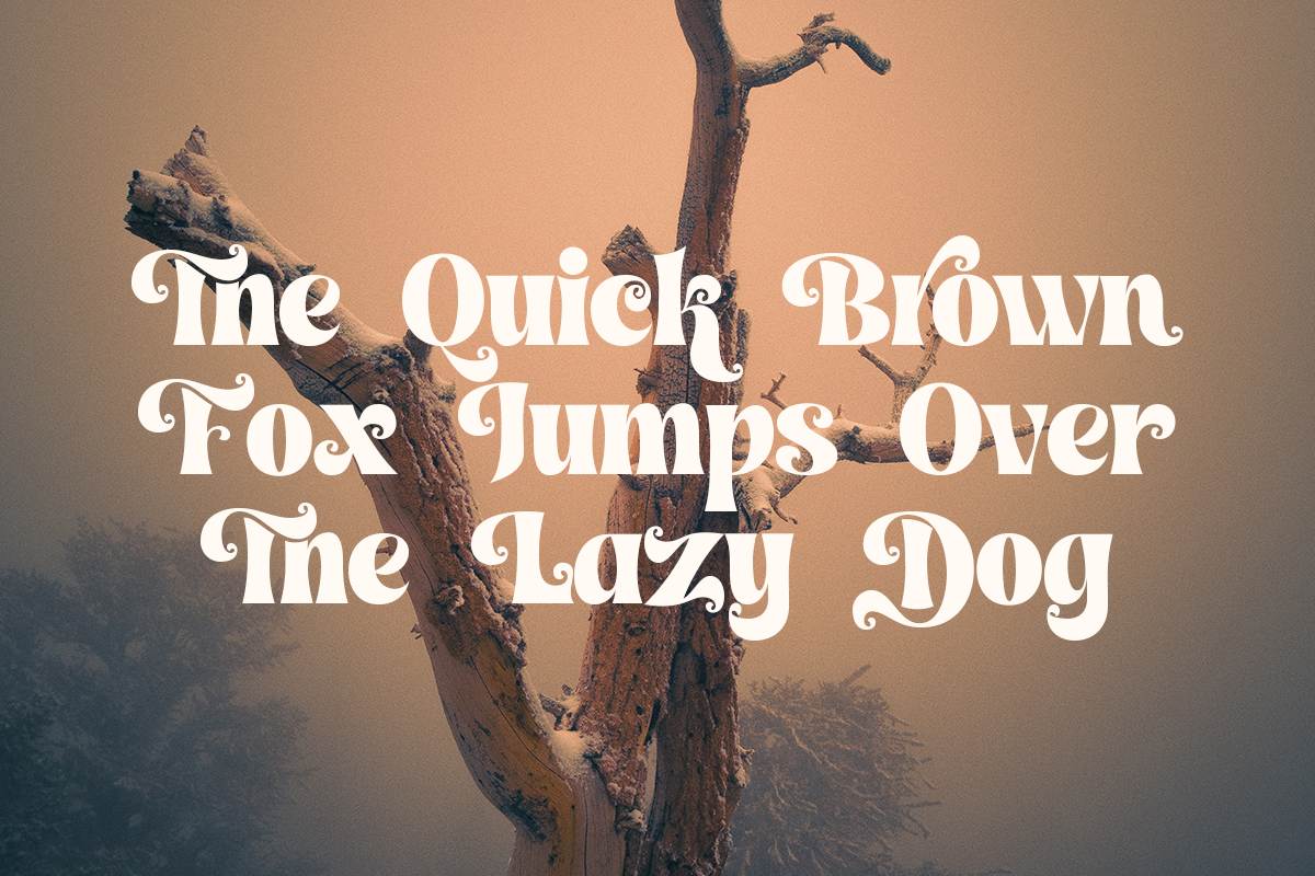 Maison Paris - Modern Stylish Font, a Serif Font by Shakira Studio (Photo 13 of 15)