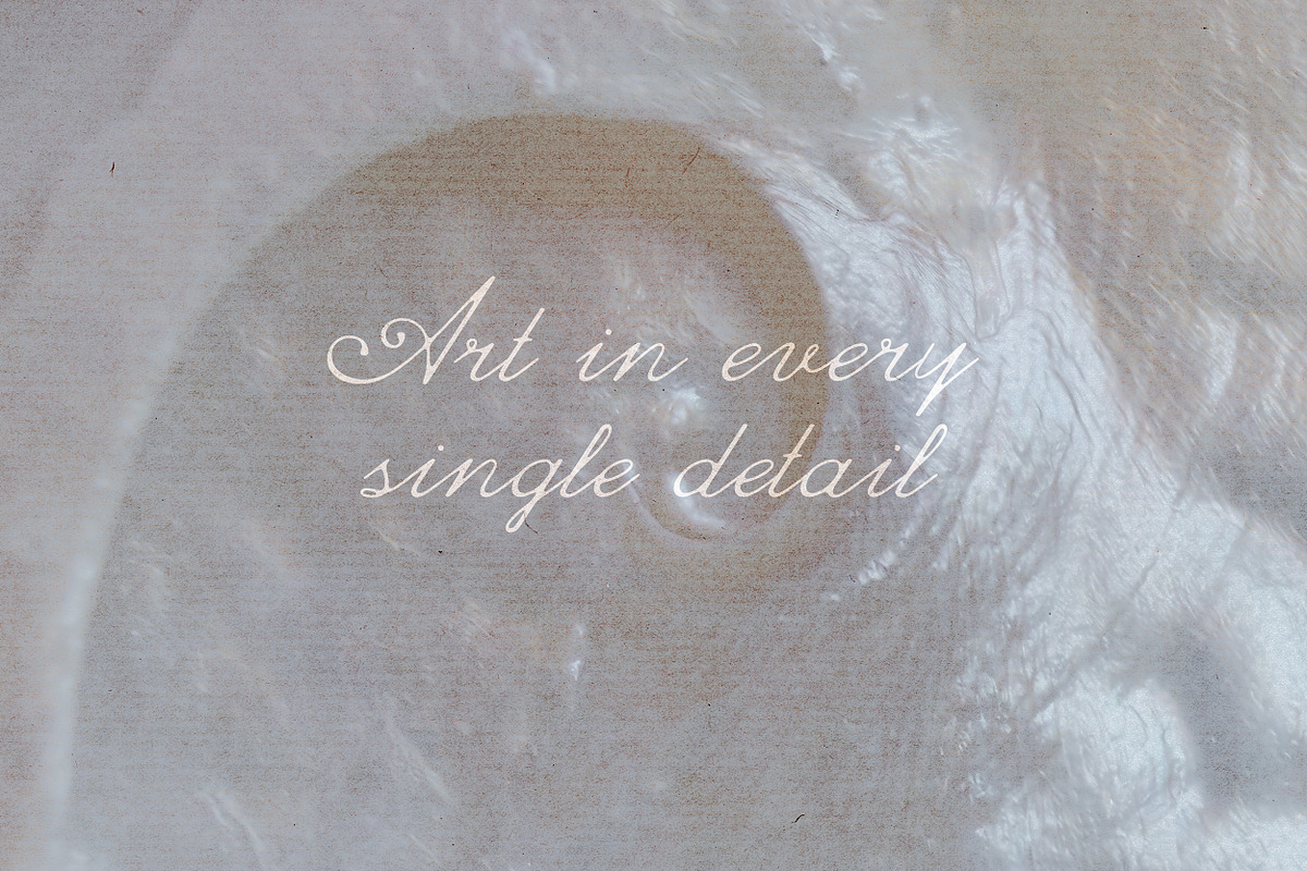Beyond Society Fashion Script Font, a Script Font by AnMark (Photo 3 of 13)
