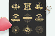 230 Wedding Overlays and Titles, an Invitation Template by Vasya Kobelev (Thumbnail 12 of 47)