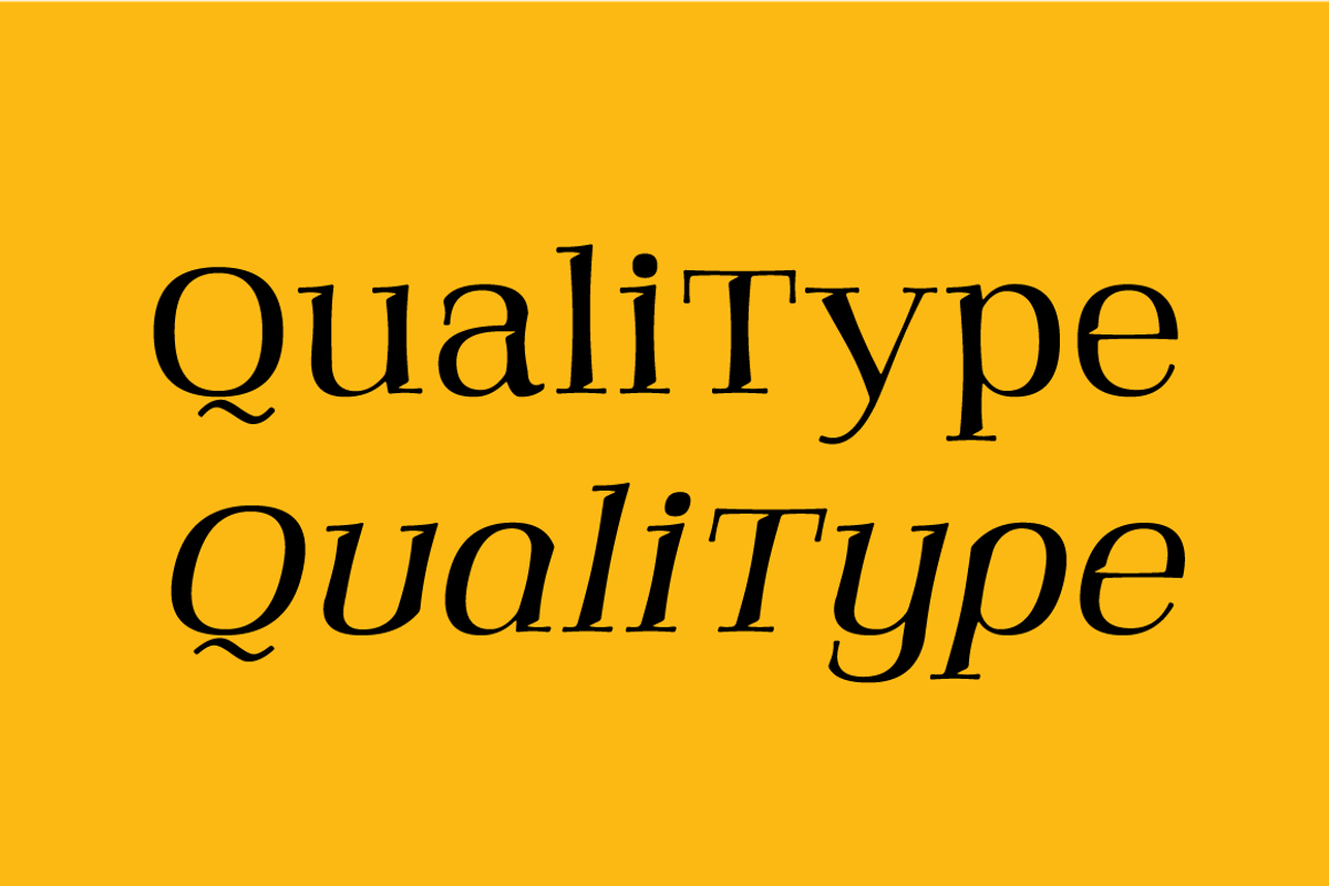 Qualitype Variable Family, a Serif Font by BULENT YUKSEL (Photo 6 of 14)