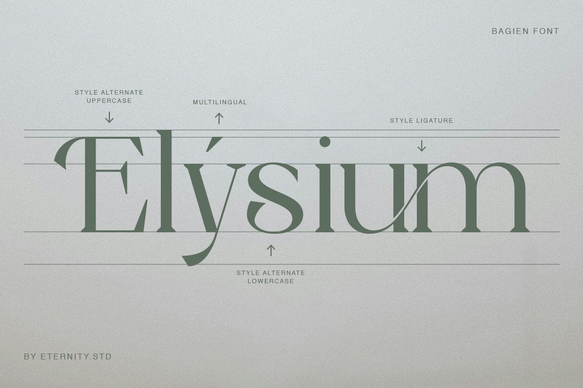 Bagien Modern Stylish Serif Font, a Serif Font by Eternity Studio (Photo 7 of 10)