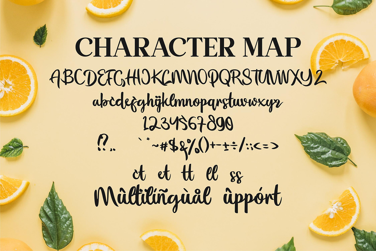Flourissha Script LS, a Script Font by GranzCreative (Photo 8 of 20)