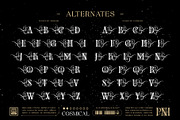 Siren cosmic Typeface, a Serif Font by alit design (Thumbnail 8 of 20)