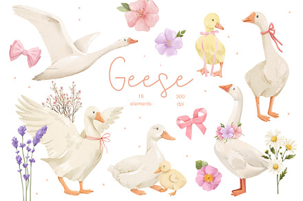 Watercolor Geese & Flowers Clipart, an Animal Illustration by ArtGiftsStudio