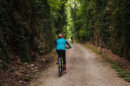 Cyclist on forest path, a Sports & Recreation Photo by Bepslabor