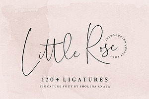 Little Rose // Sale 20%