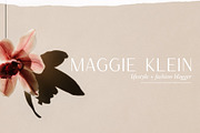 Modern Logo Sans Font Bundle, a Sans Serif Font by Jen Wagner Co (Thumbnail 4 of 39)