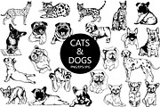 Cats & Dogs, an Animal Illustration by Ecaterina Sciuchina (Thumbnail 1 of 4)