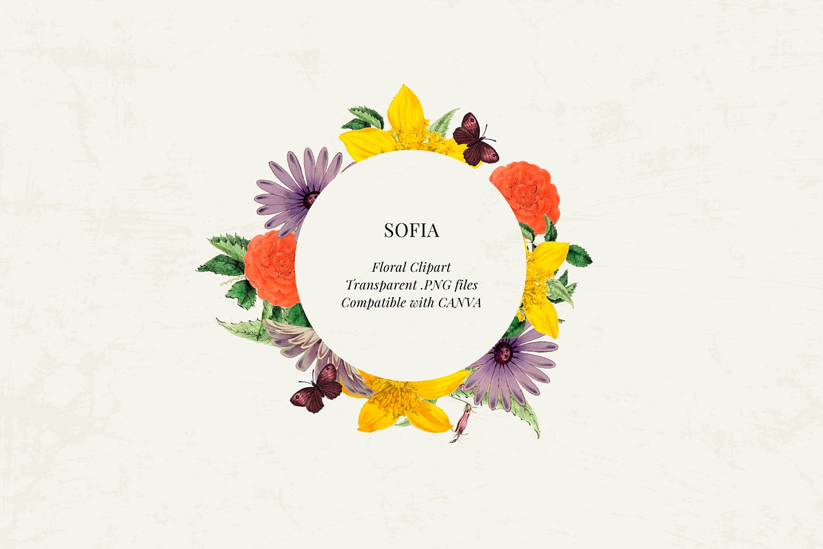Antique flowers illustrations, an Illustration by AS Studio (Photo 3 of 8)