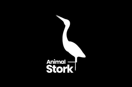 animal bird white stork lake logo, a Branding & Logo Template by devastd