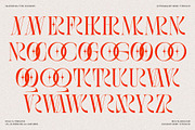 SLTF BOXROOM - Modern Serif Typeface, a Serif Font by SilverStag Type Foundry (Thumbnail 29 of 30)