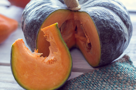 Slice of green pumpkin, a Food & Drink Photo by Eni_fly