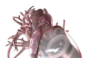 Artificial Human Heart Beating, an Object 3D Model by konstantin.ermolaev (Thumbnail 2 of 5)