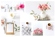 Blooming Love - Styled Stock Photos, a Background Photo by SunnyTangerine Stock (Thumbnail 3 of 12)