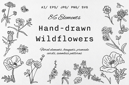 Hand-Drawn Wildflowers