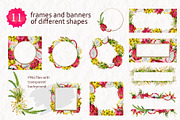 Tropical Dragon Fruit Pitaya Clipart, a Food Illustration by Elena Malgina Clipart (Thumbnail 6 of 12)