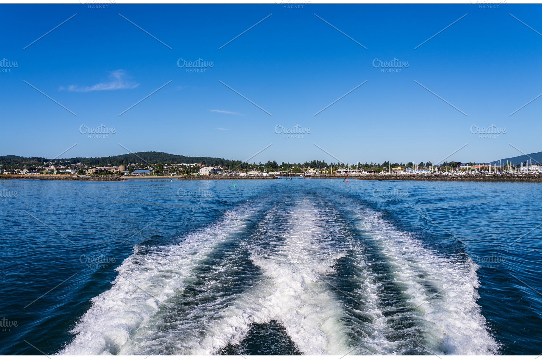 Whale watching tour departing from, a Nature Photo by Backyard Stock