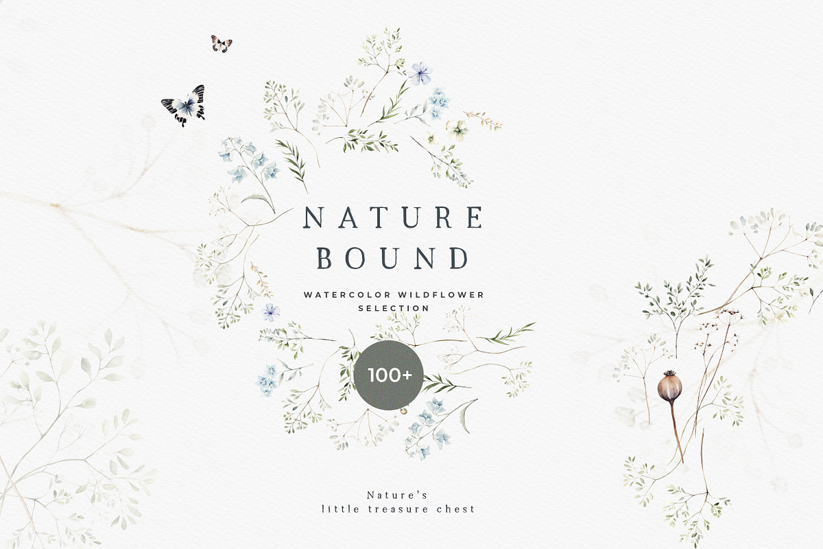 Wild Flower Watercolor & Greenery, a Decorative Illustration by Laras Wonderland (Photo 15 of 15)