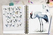 Elegant Watercolor Cranes, an Animal Illustration by Dazzling Art Boutique (Thumbnail 2 of 5)