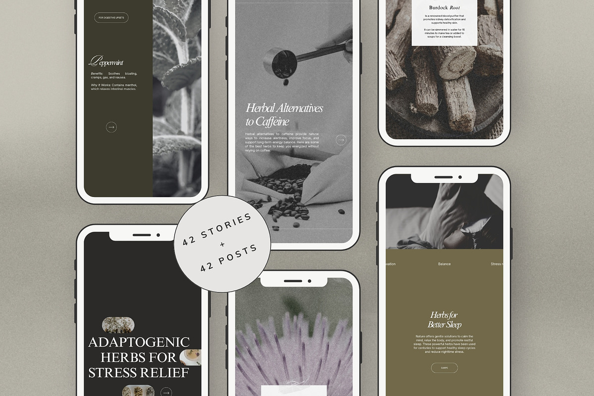 Herbalist Carousel Post Templates, a Social Media Template by Terraa Studio Design (Photo 9 of 9)