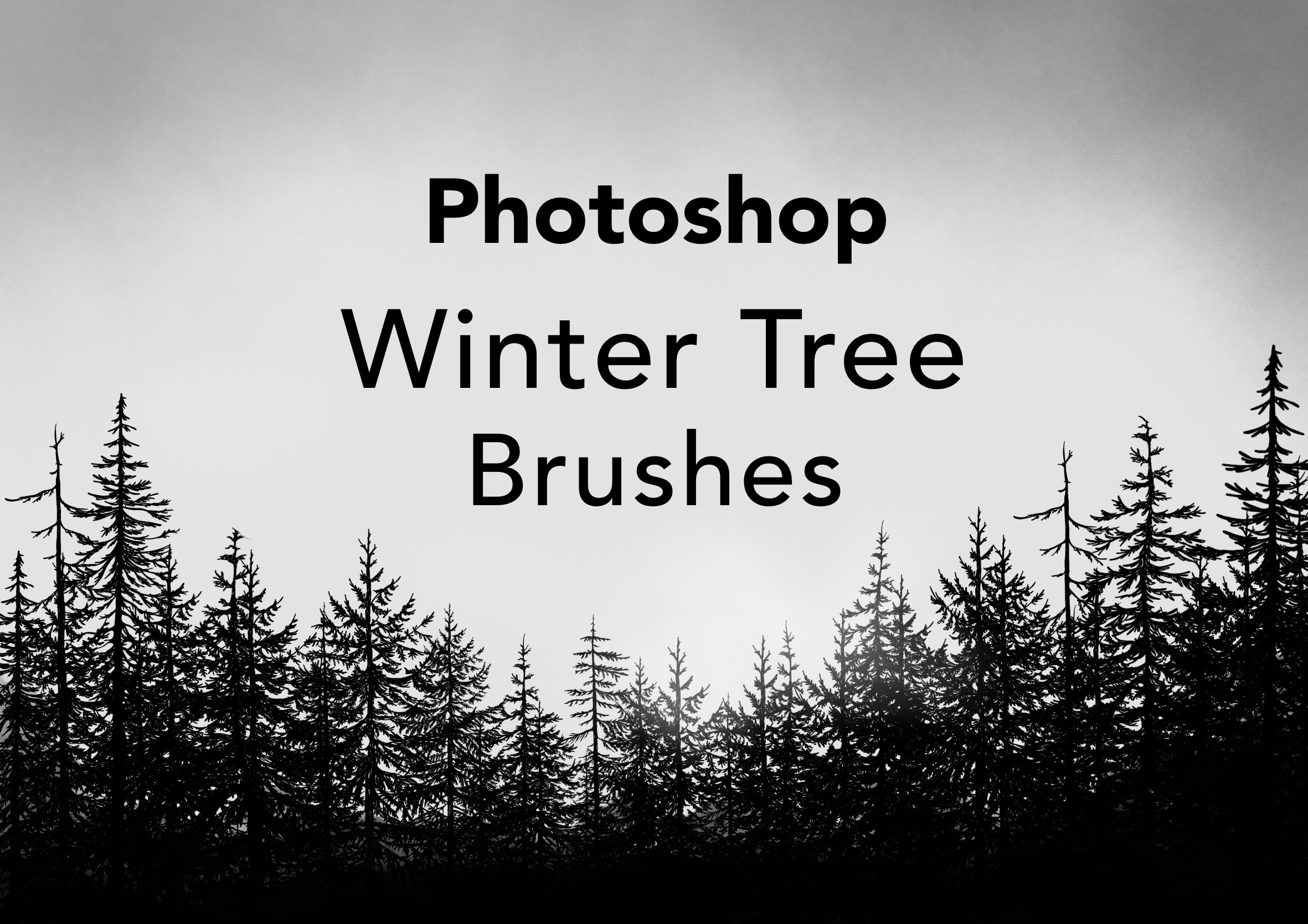 Winter Tree Brushes, a Brush AddOn by buntegalerie