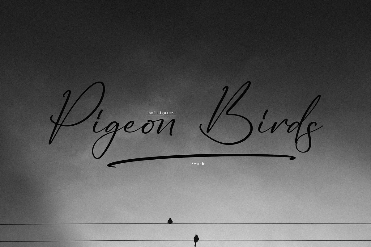 Ruliena, a Script Font by Integritype Studio (Photo 8 of 15)